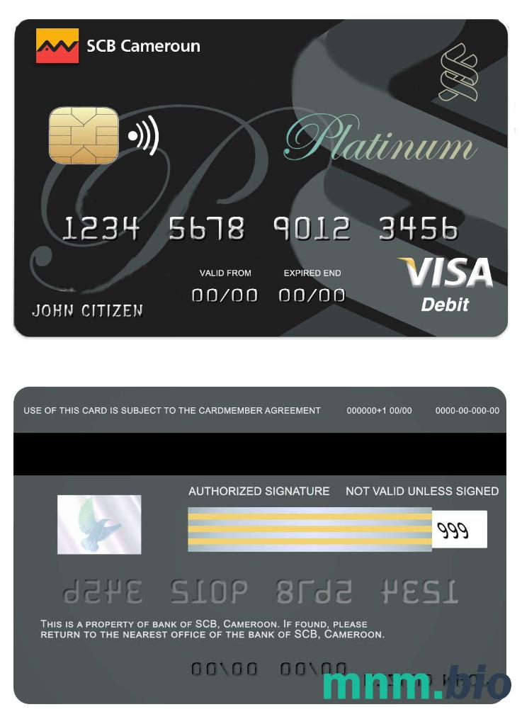 Cameroon SCB bank przykład karty visa w formacie PSD